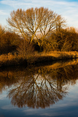 Winter Reflections - 223896309