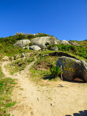Hiking path to Gravata beach, a rock with "Take your trash" written on it - Florianopolis, Brazil