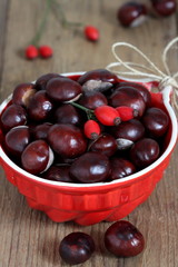 Chestnuts and rose hips in red bowl