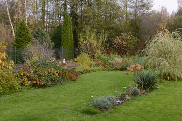 Jesienny ogród