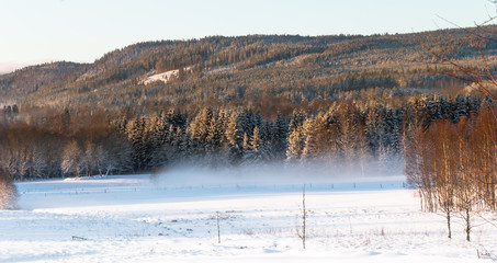 Fototapeta na wymiar Schneesturm über einer Weide vor einer bergkette