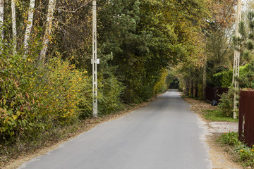 Alejka w Złotokłosie © RegnumInvictum