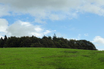 Clouds on the blue sky and green field