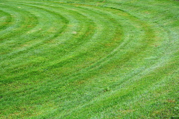 beautiful smoothly neatly trimmed with circular stripes lawn with green grass in The city garden