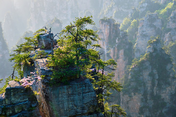 Zhangjiajie mountains, China