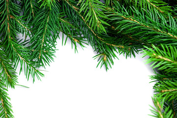 Christmas tree branches isolated on white background. Flat lay. Copy space. Nature New Year Holiday Card