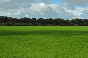 Clouds on the blue sky and green field