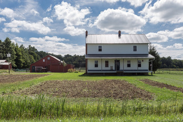 Generic farmhouse and barn with green grass