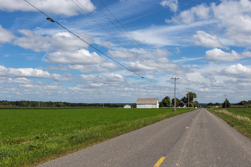 Fototapeta na wymiar Empty road leading to farmhouse with green grass