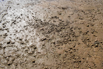 River. Shore. Clay. Gravel