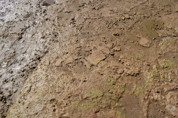 River. Shore. Clay. Gravel.