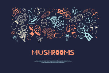 Mushroom hand drawn horizontal doodle banner with Isolated sketch Champignon, enokitake, oyster, chanterelle, shiitake. Use it for menu, banner, badge, product packaging