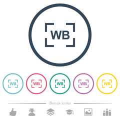 Camera white balance setting flat color icons in round outlines