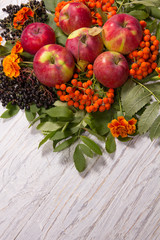 Autumn still life with apples on an old white wooden background