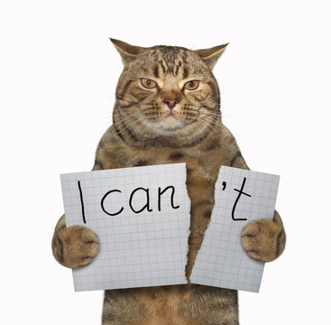The cat is tearing a piece of paper where writing the phrase " I can't ". White background.