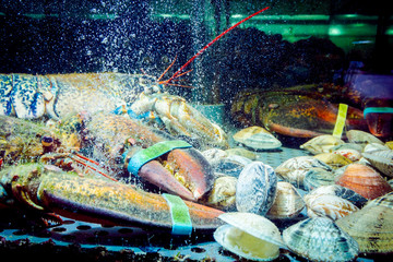 Fototapeta na wymiar Colorful crawfish for sale, sea crustaceans inside aquarium in a restaurant