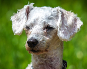 Portrait of a new friend!