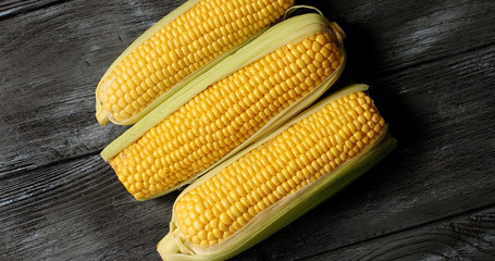 From above shot of few uncooked pale yellow corncobs with green leaves composed on wooden table