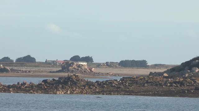d&eacute;pollution en milieu marin