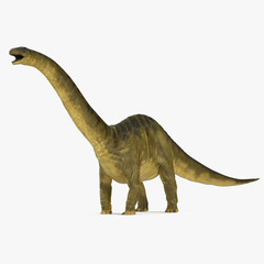 Apatosaurus Dinosaur model on white. 3D illustration