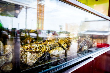 Shells, oysters for sale, seafood inside aquarium in a restaurant