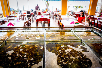 Fresh seafood for sale inside of divided aquarium in a restaurant