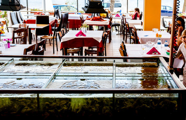 Fresh seafood for sale inside of divided aquarium in a restaurant