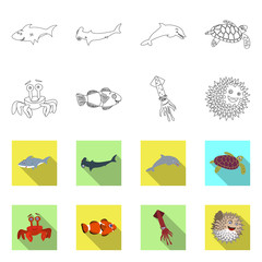 Vector design of sea and animal logo. Set of sea and marine vector icon for stock.