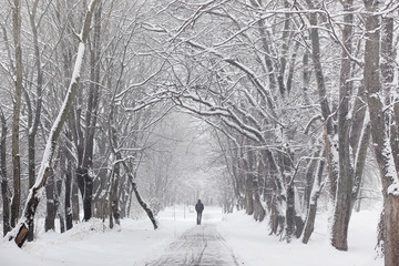 Snow-covered winter park and benches. Park and pier for feeding 