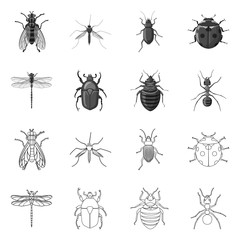Vector illustration of insect and fly logo. Set of insect and element stock symbol for web.