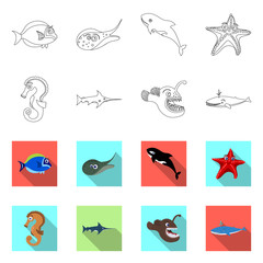 Isolated object of sea and animal symbol. Collection of sea and marine stock vector illustration.