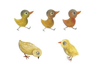 Cute watercolor farm animal on the isolated white background.