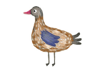 Cute watercolor farm animal on the isolated white background.