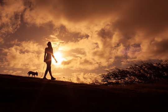 Female walking her dog outdoors at sunset. 