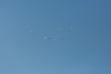 Beautiful atmospheric dramatic clouds in the evening at sunset.