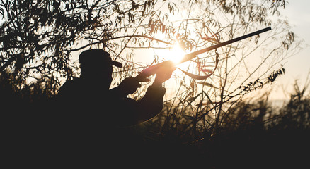 Silhouette of a hunter with a gun in the reeds against the sun, an ambush for ducks with dogs	