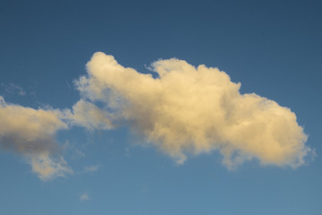 Big cloud at sunset