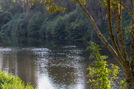 Rio Paisagem