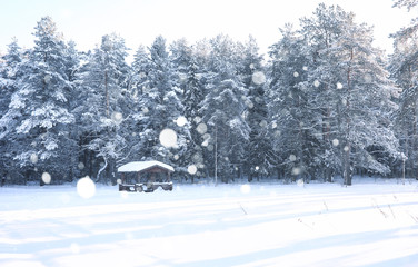 wooden gazebo in forest in the winter snow blizzard