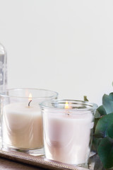 Natural eco home close up decor with green leaves and burning candles on silver tray with copy space on white wall
