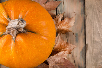 Big Orange pumpkin and fallen dry leaves on rustic wooden background. Halloween, Thanksgiving day or seasonal autumnal concept. Close up, selective focus