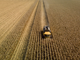 Erntemaschine bei der Maisernte - Luftaufnahme © Peter Maszlen