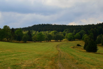 Fototapeta premium a trail in the Złote mountains, a trail to the Borówkowa mountain