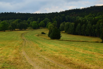 Fototapeta na wymiar a trail in the Rychlebské hory, Złote mountains, a trail to the Borówkowa mountain