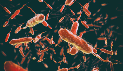 Vibrio cholerae, Gram-negative bacteria. 3D illustration of bacteria with flagella - obrazy, fototapety, plakaty