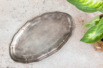 Vintage silverplate dish and green plants