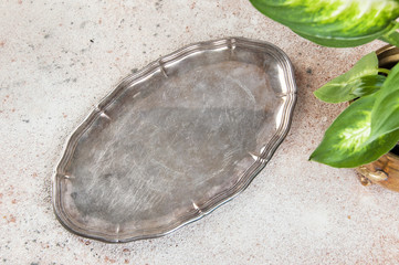 Vintage silverplate dish and green plants