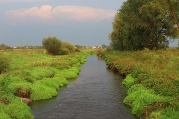 Beautiful river Poltva in the summer