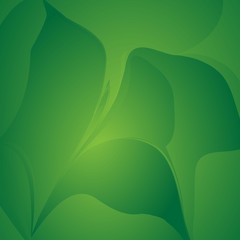 Fototapeta premium Green color wallpaper 