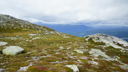 Summer rocky mountain landscape.